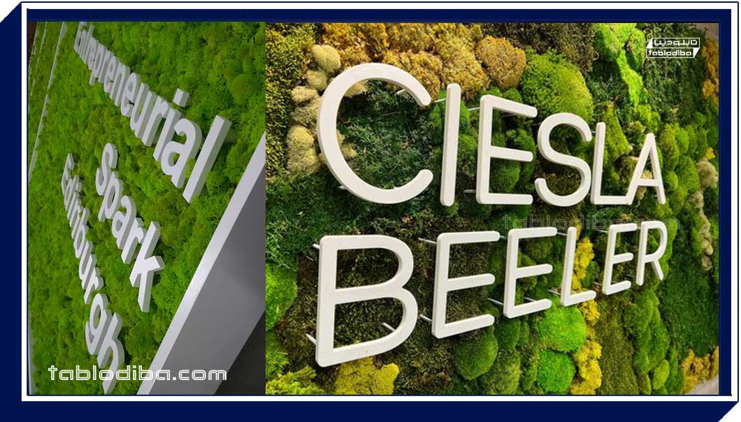 انواع تابلو برجسته